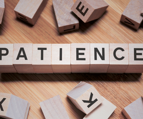 Patience: The Jewel of a Business Owner’s Crown